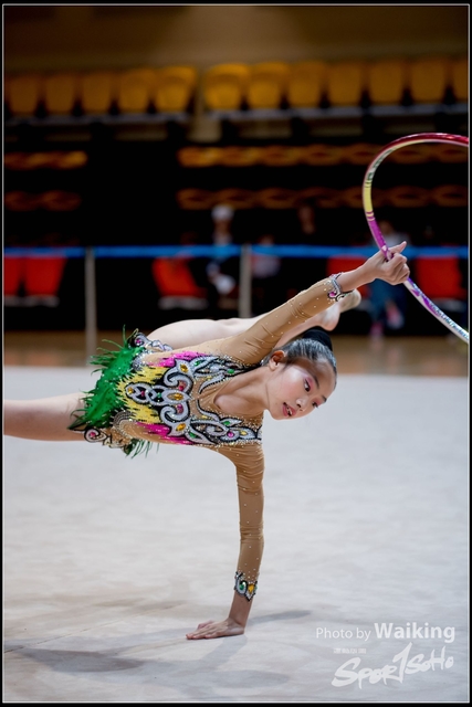 2018-11-11 Rhythmic Gym 1569