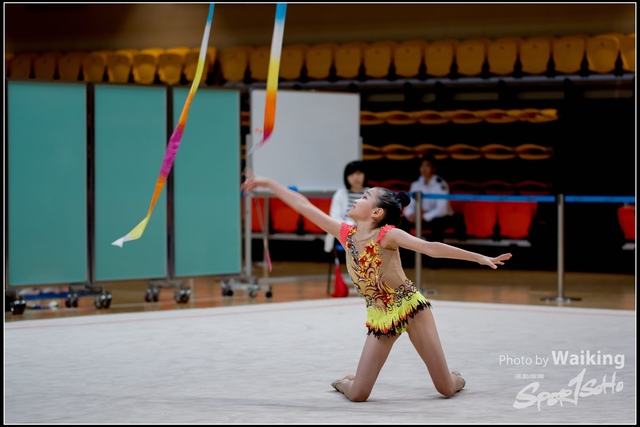 2018-11-11 Rhythmic Gym 1714