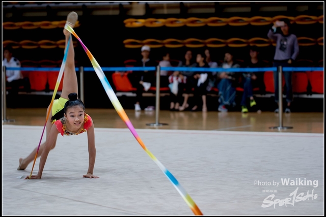 2018-11-11 Rhythmic Gym 1717