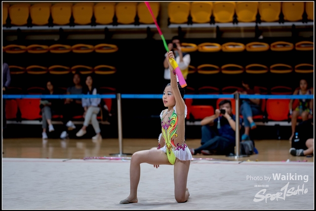2018-11-11 Rhythmic Gym 1739