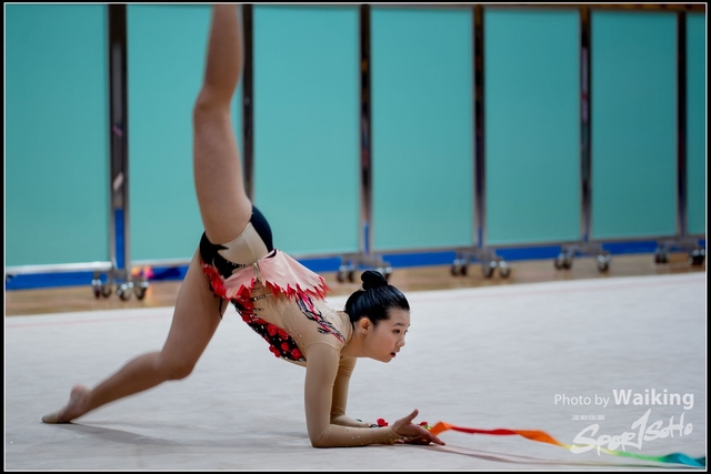 2018-11-11 Rhythmic Gym 1872