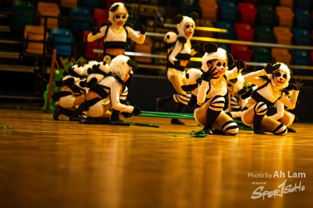 ND4_7329