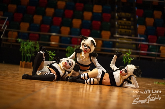ND4_7335