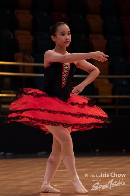 CYY_2590
