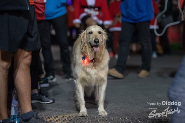 SantaRun-54