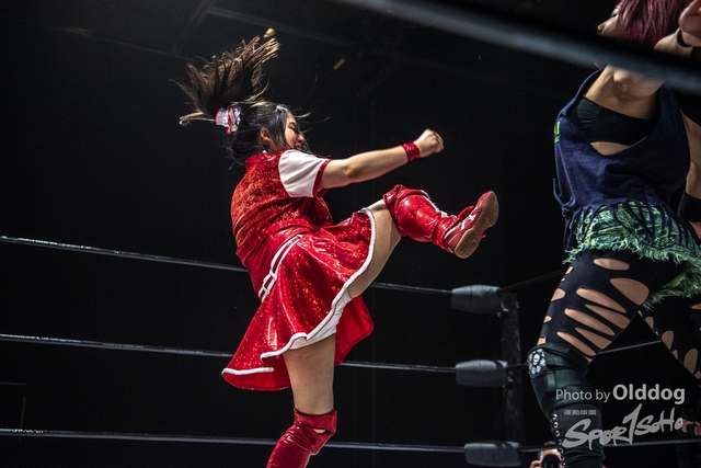 Wrestling-88