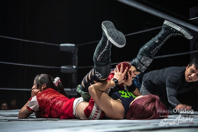 Wrestling-101