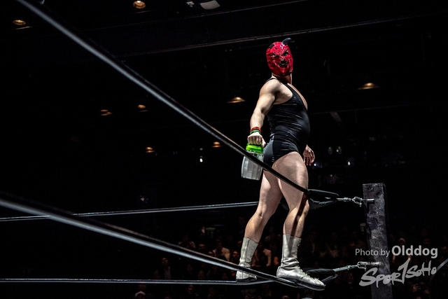 Wrestling-241