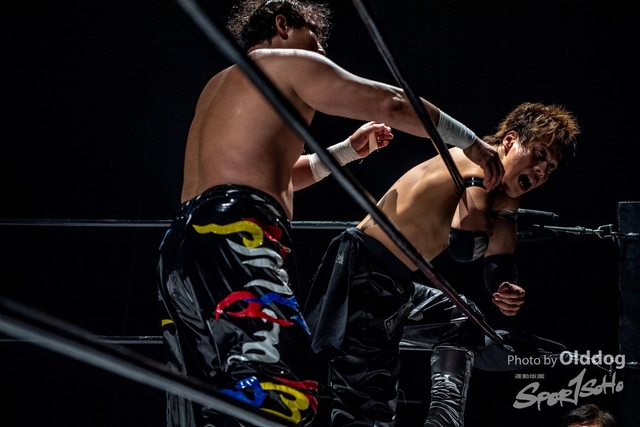 Wrestling-312