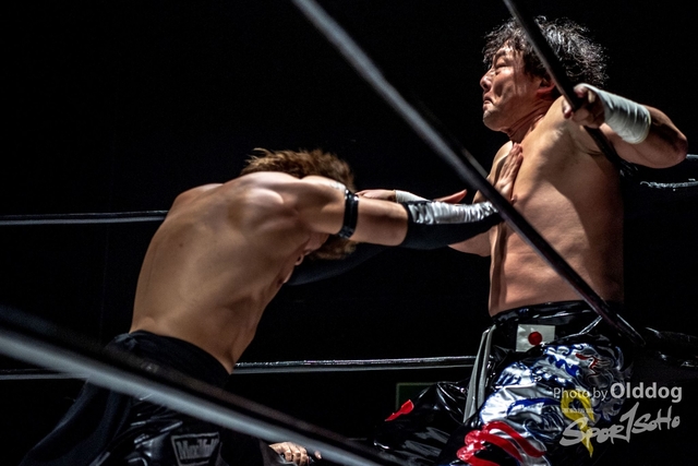 Wrestling-313