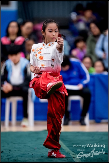 2019-01-20 WuShuu 0013