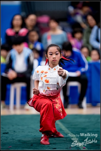 2019-01-20 WuShuu 0014