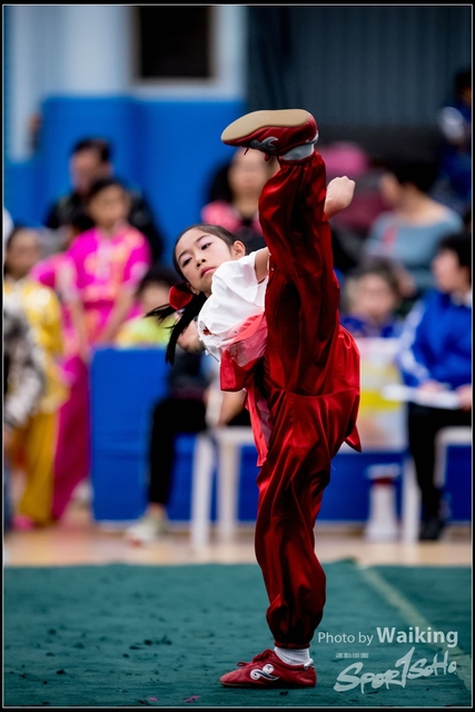 2019-01-20 WuShuu 0023