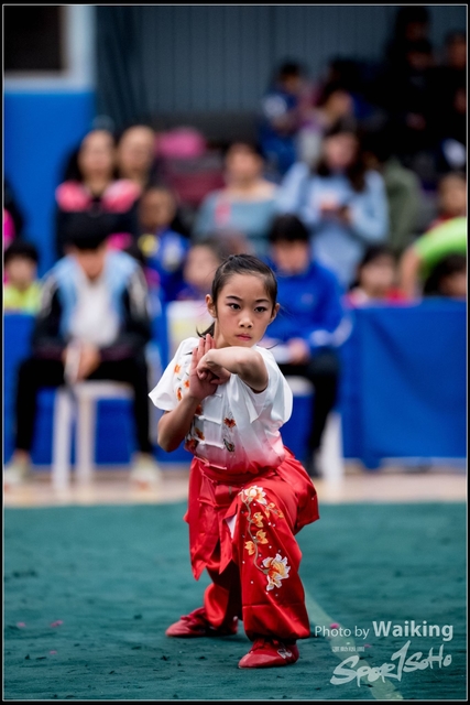 2019-01-20 WuShuu 0025