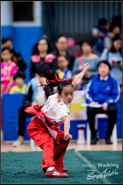 2019-01-20 WuShuu 0026