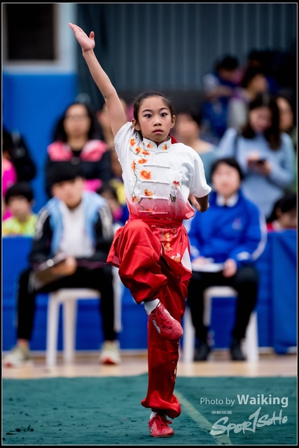 2019-01-20 WuShuu 0027