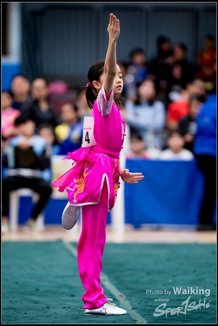 2019-01-20 WuShuu 0040