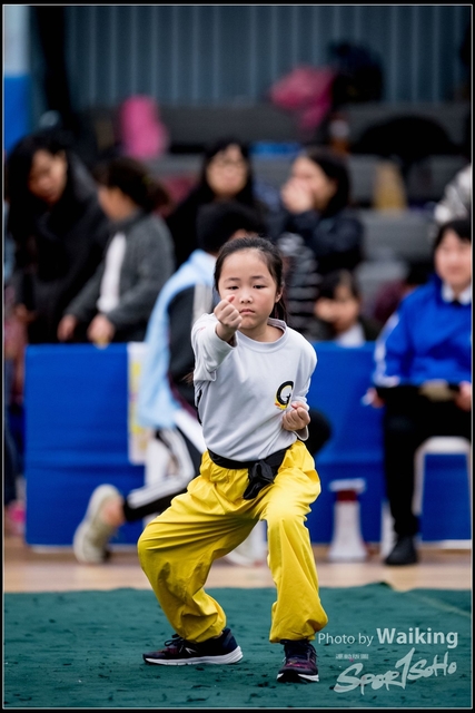 2019-01-20 WuShuu 0103