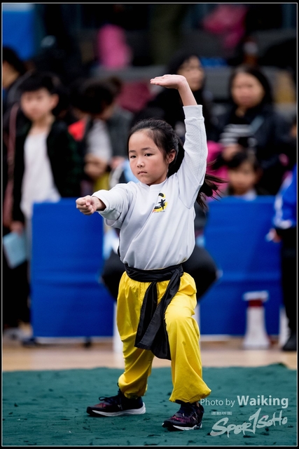 2019-01-20 WuShuu 0105