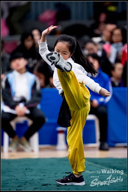 2019-01-20 WuShuu 0106