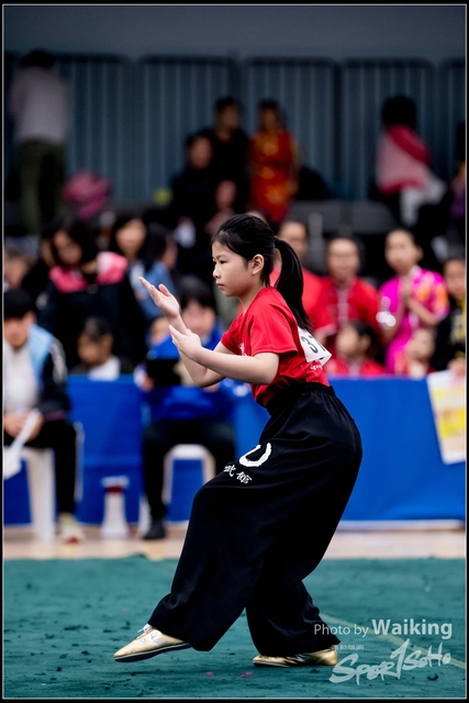 2019-01-20 WuShuu 0109