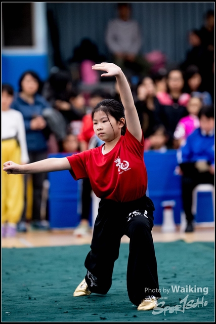 2019-01-20 WuShuu 0115