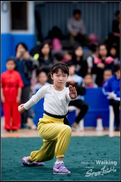 2019-01-20 WuShuu 0125