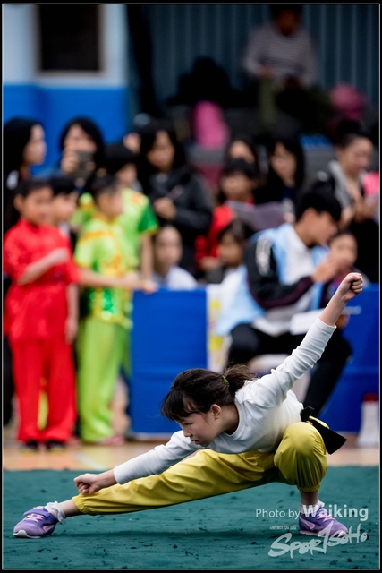 2019-01-20 WuShuu 0132