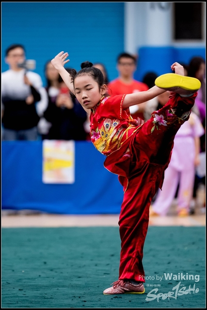 2019-01-20 WuShuu 0325
