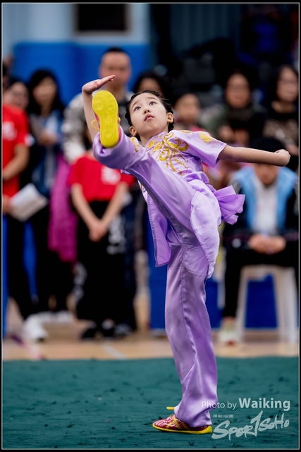 2019-01-20 WuShuu 0347