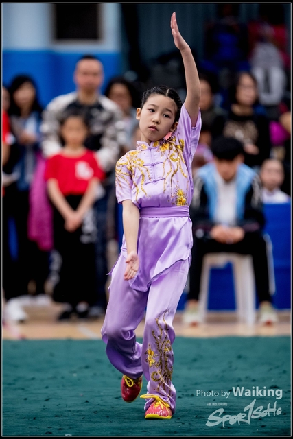 2019-01-20 WuShuu 0348