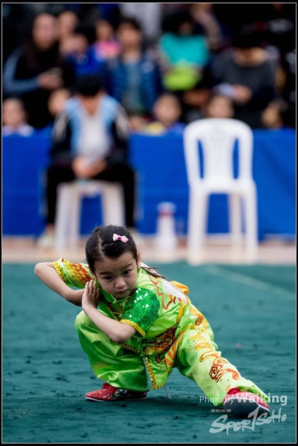2019-01-20 WuShuu 0365