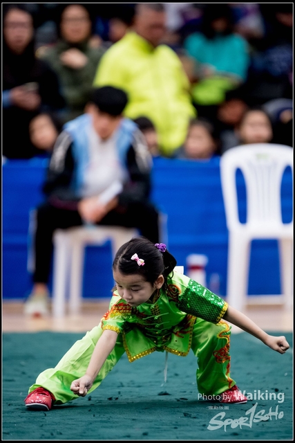 2019-01-20 WuShuu 0378