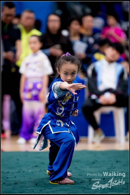 2019-01-20 WuShuu 0390