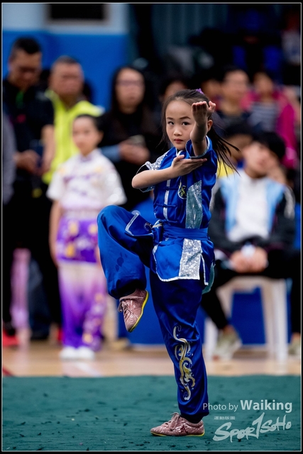 2019-01-20 WuShuu 0391
