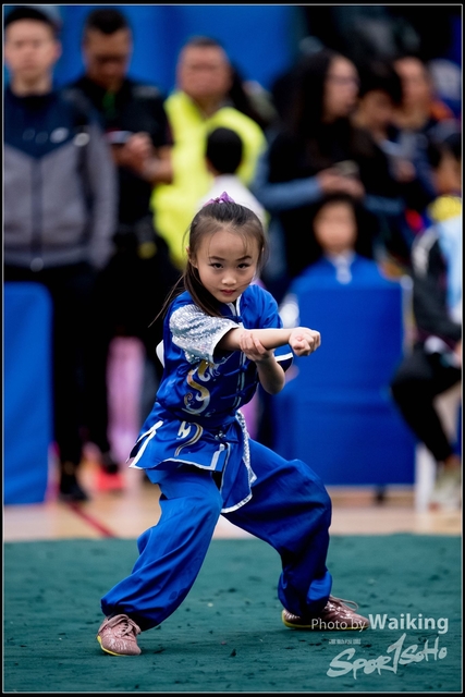 2019-01-20 WuShuu 0393