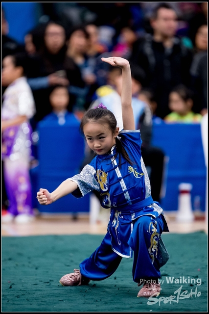 2019-01-20 WuShuu 0395