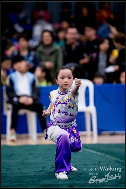 2019-01-20 WuShuu 0408