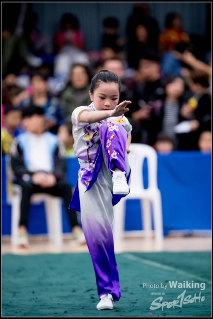 2019-01-20 WuShuu 0409