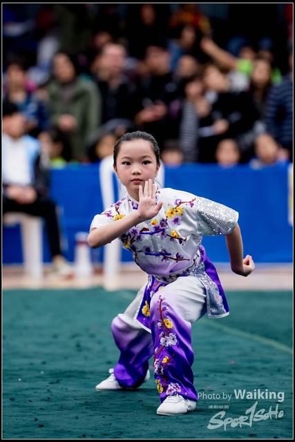 2019-01-20 WuShuu 0411