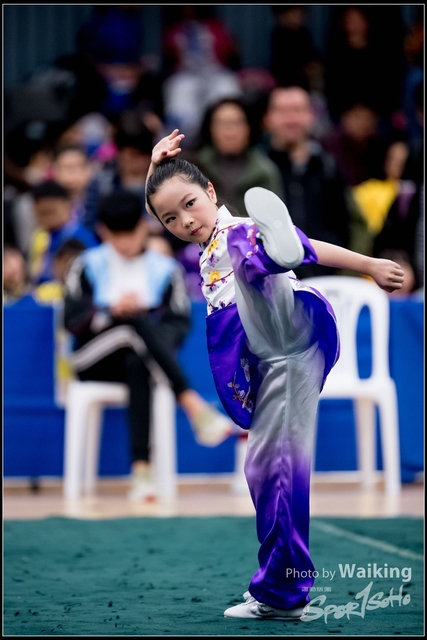2019-01-20 WuShuu 0417