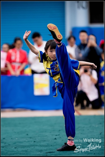 2019-01-20 WuShuu 0447