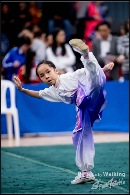 2019-01-20 WuShuu 0461