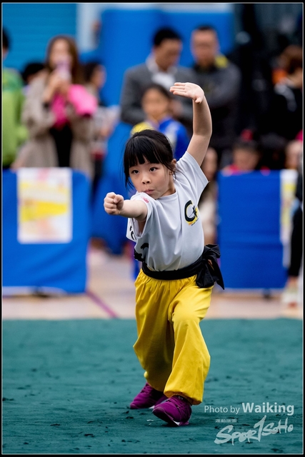 2019-01-20 WuShuu 0495