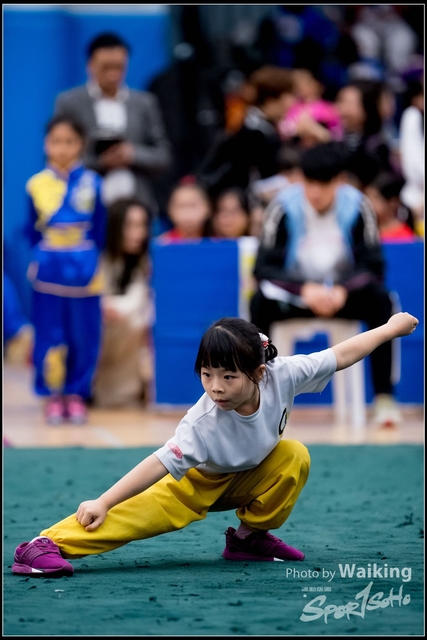 2019-01-20 WuShuu 0497