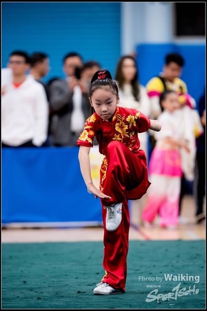 2019-01-20 WuShuu 0520