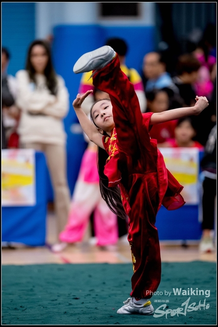 2019-01-20 WuShuu 0527
