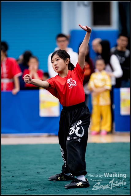 2019-01-20 WuShuu 0564