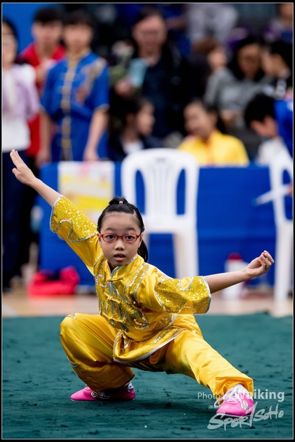 2019-01-20 WuShuu 0574