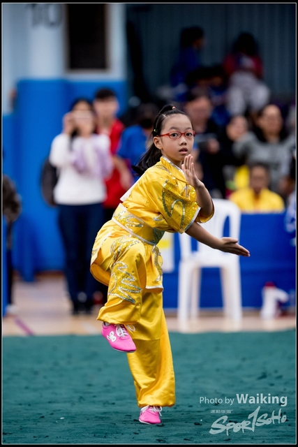 2019-01-20 WuShuu 0578